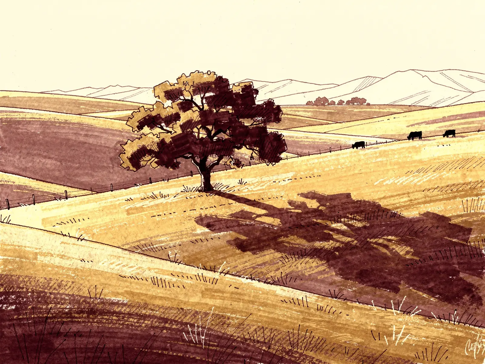 Ilustración de un pasto abierto en California, con una encina y reses negras pastando a lo lejos